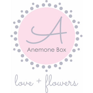 Anemone Box