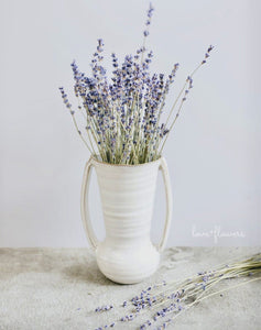 Lavanda Natural Seca