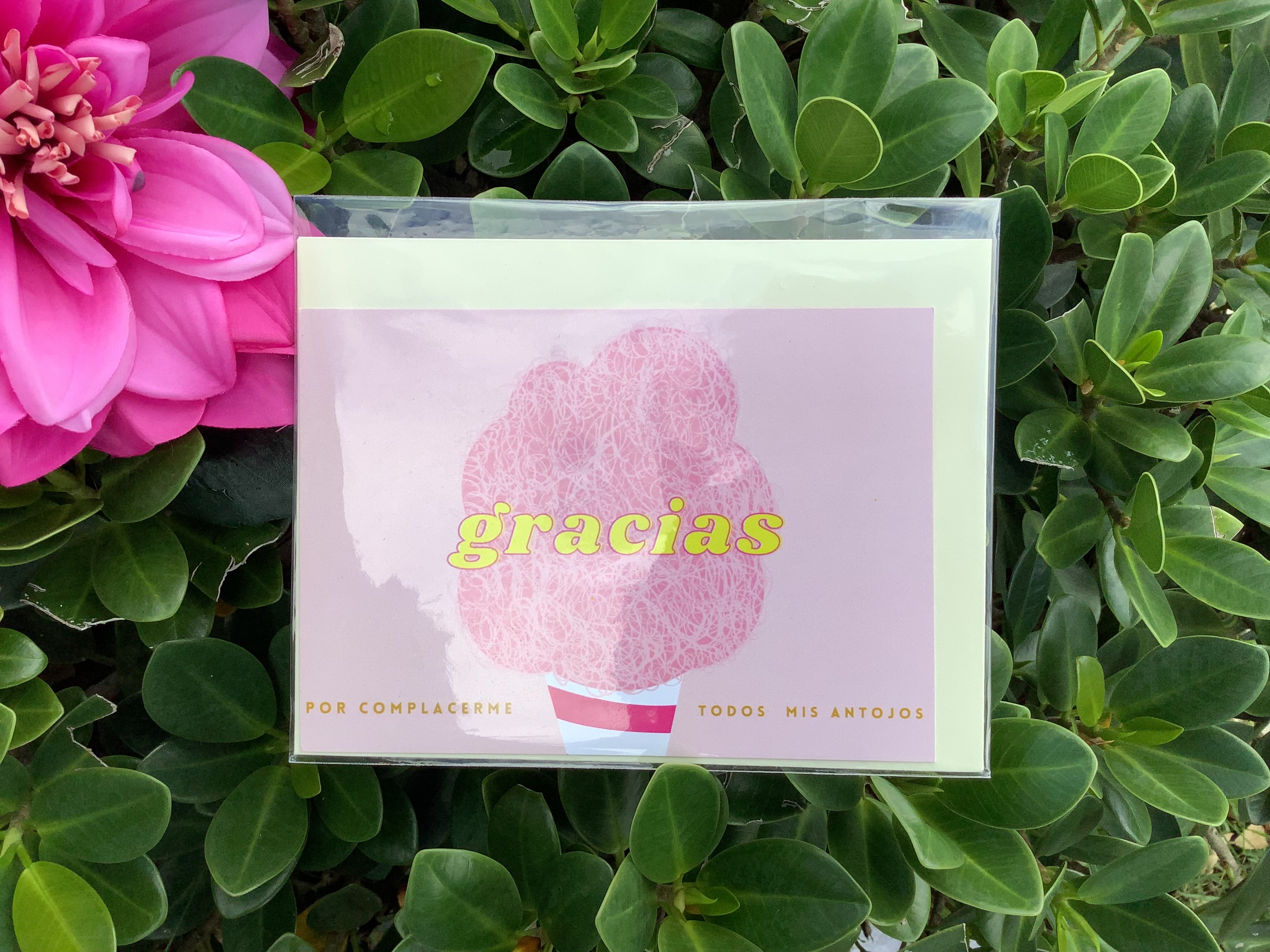 Gracias por Complacerme