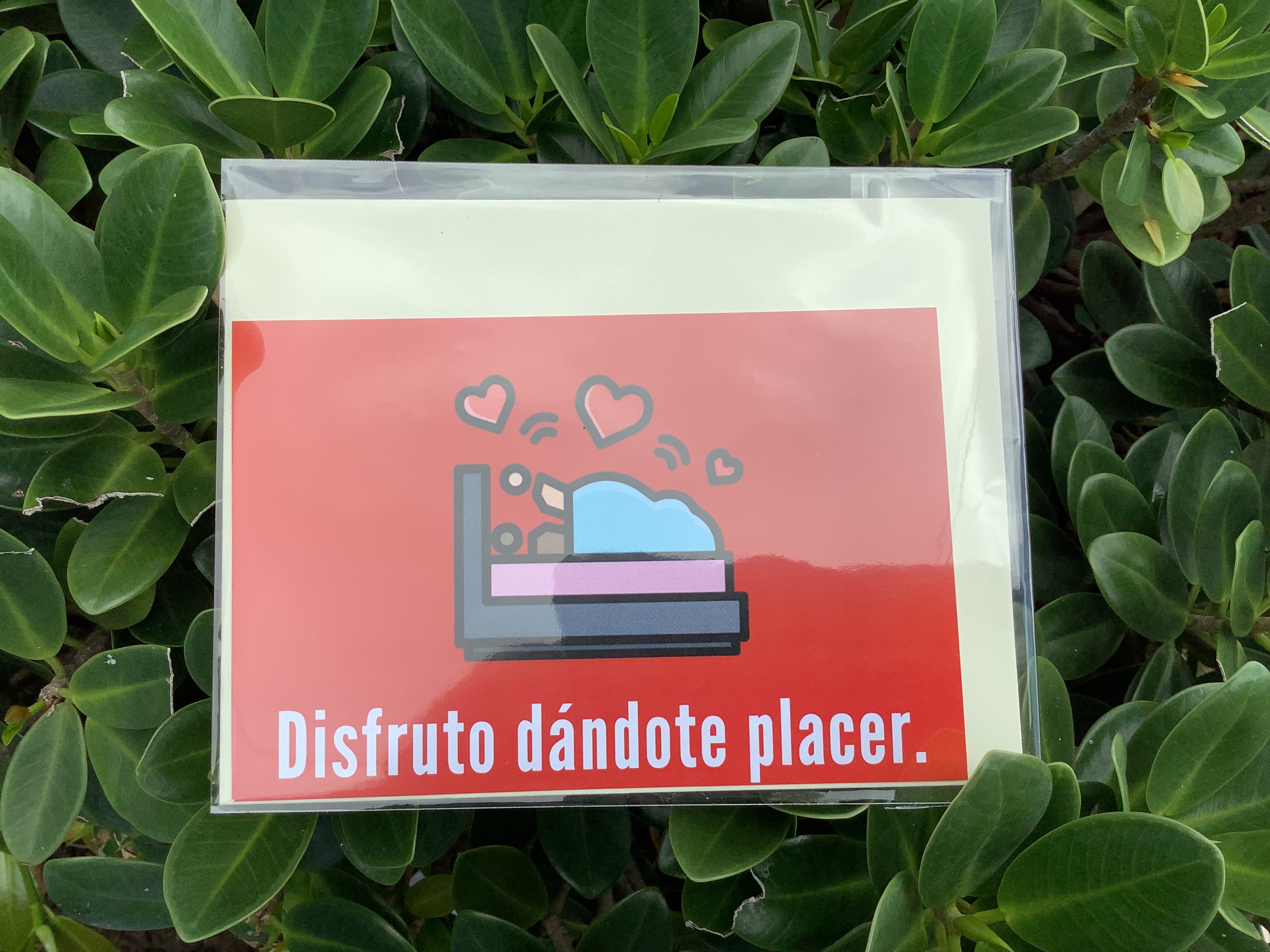 Disfruto Dándote Placer